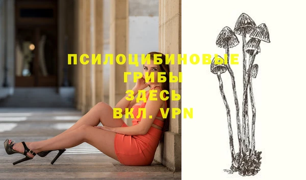 прущие крисы Беломорск