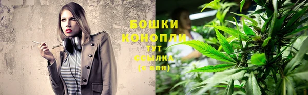 метадон Белокуриха