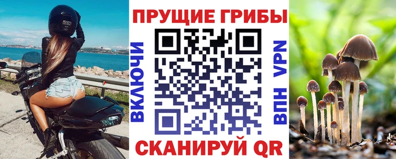 цены наркотик  Кудымкар  Псилоцибиновые грибы мицелий 
